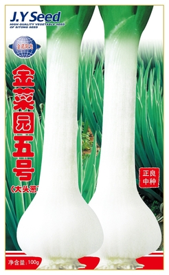 金菜园五号