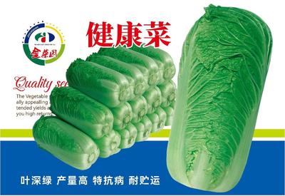 健康菜