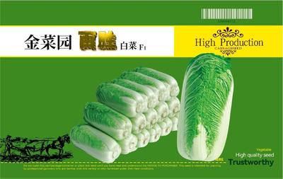 金菜园百胜白菜