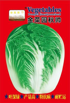 金菜园秋帅