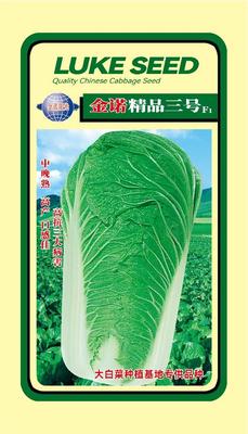 金诺精品三号