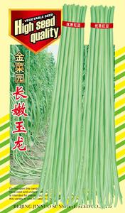 金菜园长嫩玉龙