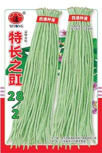 特长之豇28-2