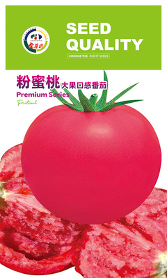 粉蜜桃大果口感番茄