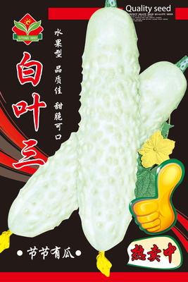 白叶三