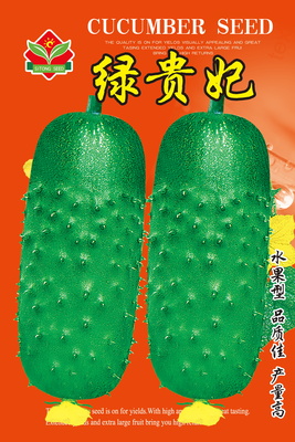 绿贵妃