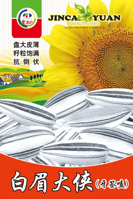 白眉大侠