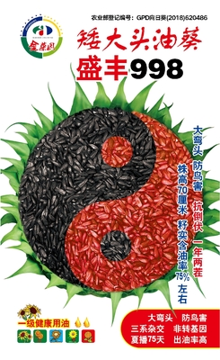 矮大头油葵盛丰998