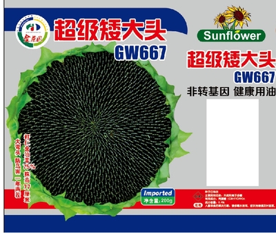 超级矮大头GW667