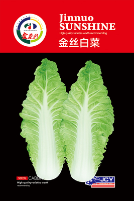金丝白菜