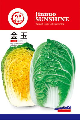 金玉 14-21