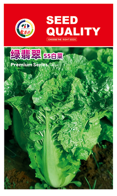 绿翡翠55白菜 12-20