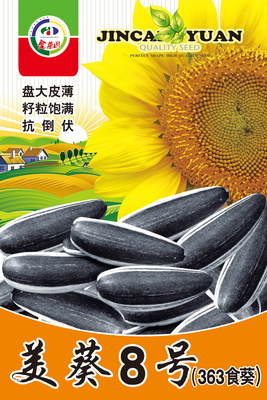 美葵8号(363食葵)