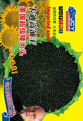 卡迪高油王