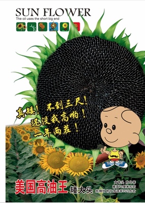美国高油王