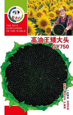 高油王矮大头GY750
