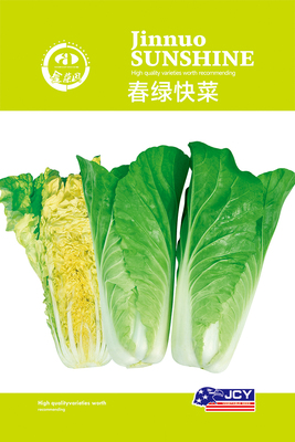 春绿快菜2 14-21