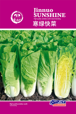 寒绿快菜 14-21