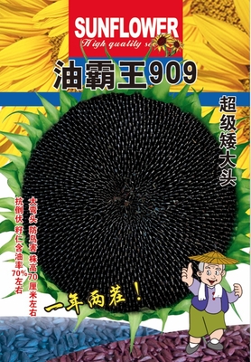 油霸王909