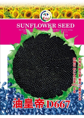 油皇帝D667