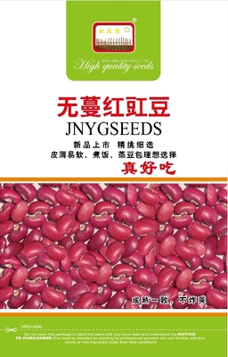 无蔓红豇豆