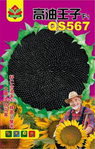 高油王子QS567