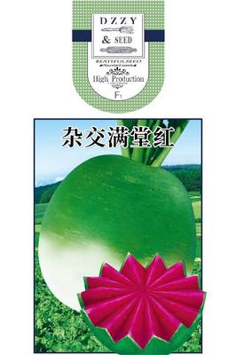 杂交满堂红