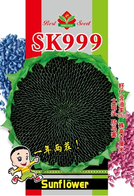 SK999矮大头版