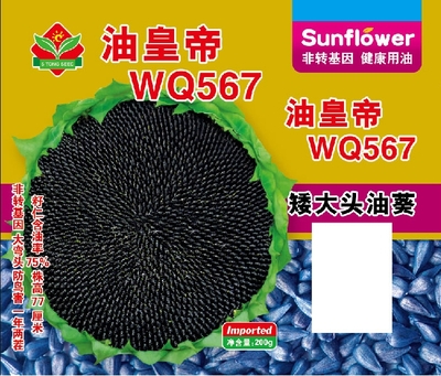 油皇帝WQ567版-
