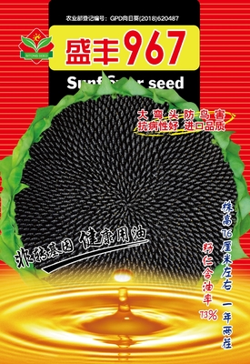 盛丰967