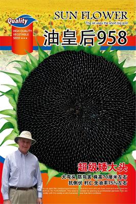 油皇后958