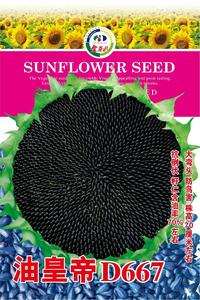 油皇帝D667