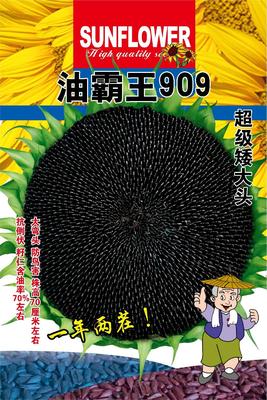 油霸王909