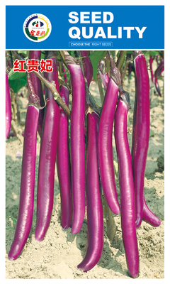 红贵妃