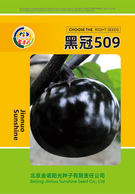 黑冠509