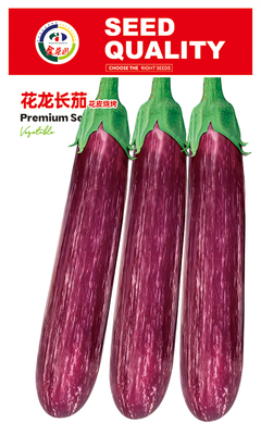 花龙长茄
