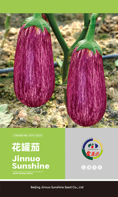 花罐茄