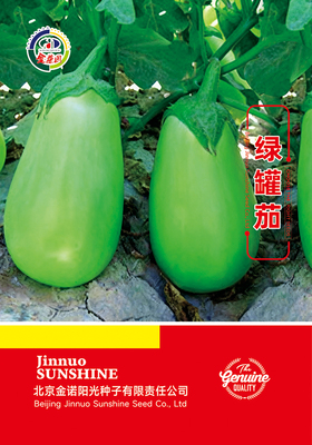 绿罐茄