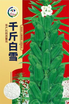 千斤白雪