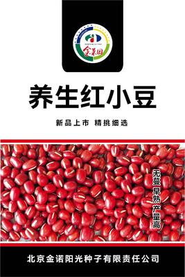 养生红小豆