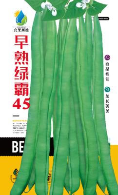 早熟绿霸45
