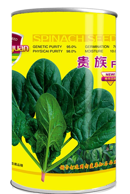 贵族