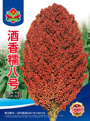 酒香糯八号