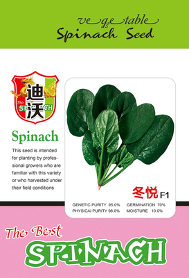 冬悦