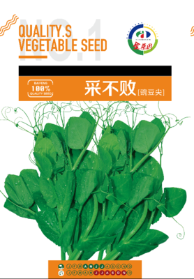 采不败豌豆尖