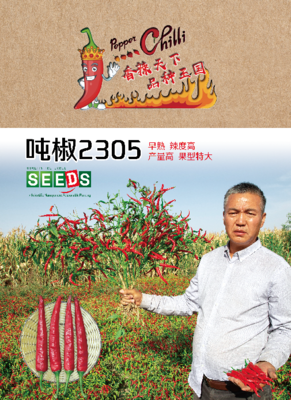 吨椒2305