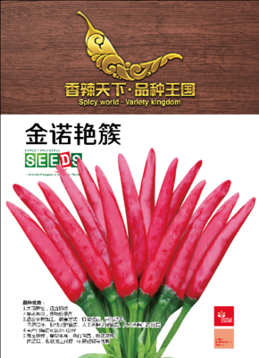 金诺艳簇