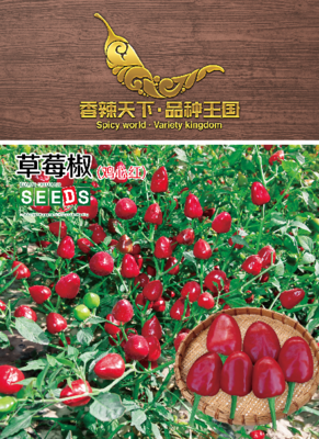 草莓椒（鸡心红）