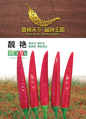 靓艳