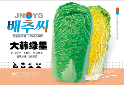大韩绿星